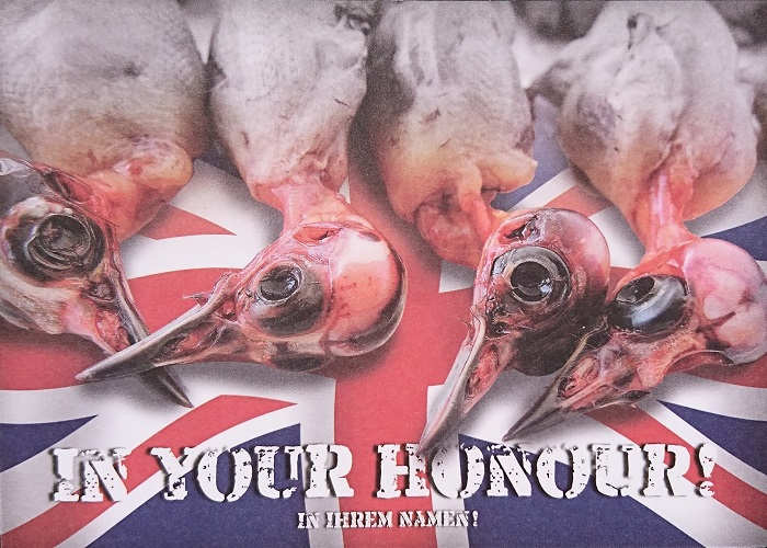 Erfolgreiche Komitee-Protestpostkarte gegen den Vogelfang in den britischen Militärgebieten auf Zypern an Premierministerin May, 2017