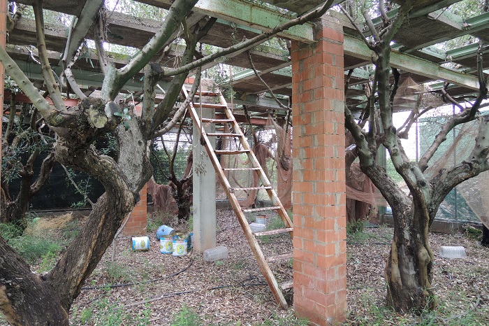 Trapping installation as seen from inside. The ladders lead to the "first floor". 