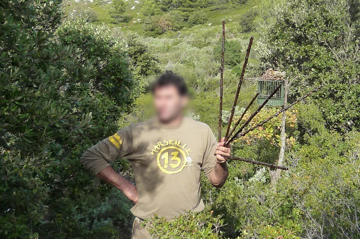 Bird trapper in Provence with limesticks