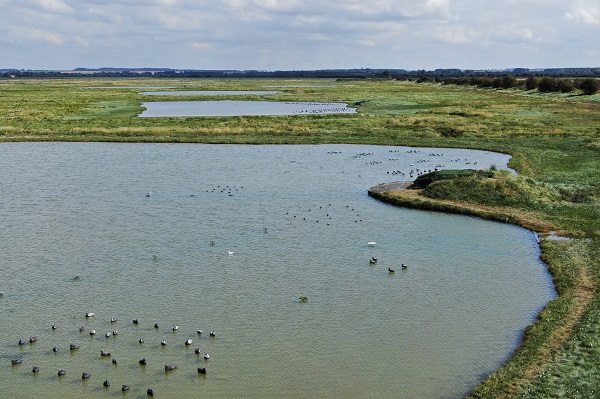Paesaggio ottimizzato per la caccia nel nord della Francia