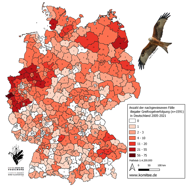 Verbreitung der illegalen Greifvogelverfolgung in Deutschland