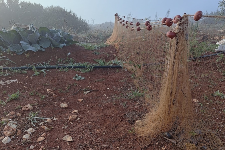 Bodennetze sind für eine ganze Reihe von Tieren auf Zypern sehr gefährlich.