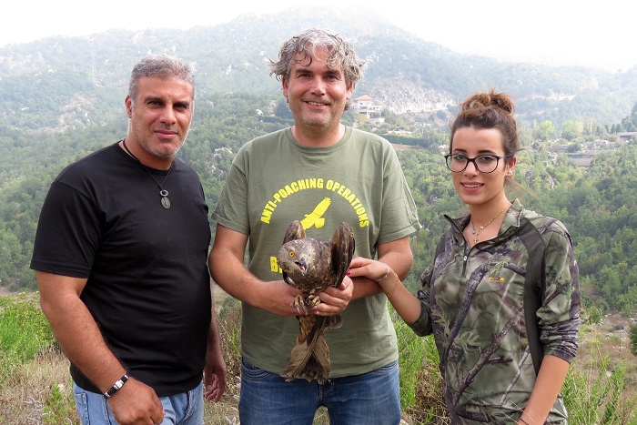 Membri del CABS e dell'organizzazione partner SPNL ridanno la libertà a un Falco pecchiaiolo recuperato.