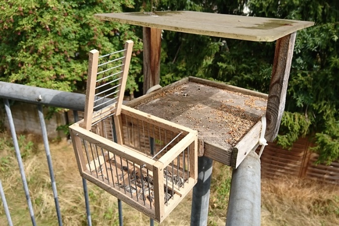 Cage trap - one of the most frequently used songbird traps in Germany