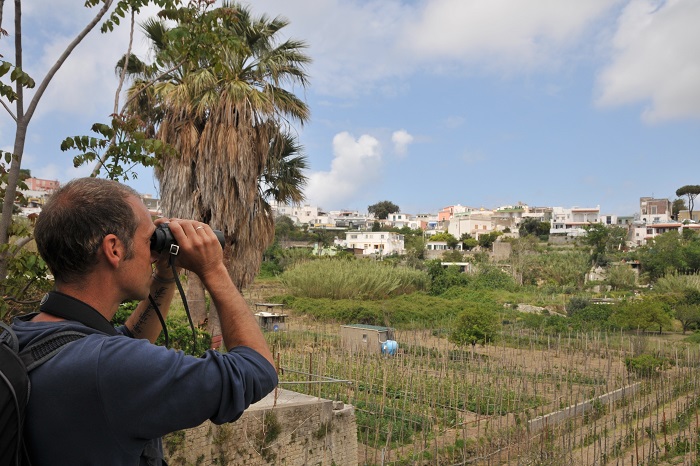 A CABS member during a mission against songbird poaching in southern Italy