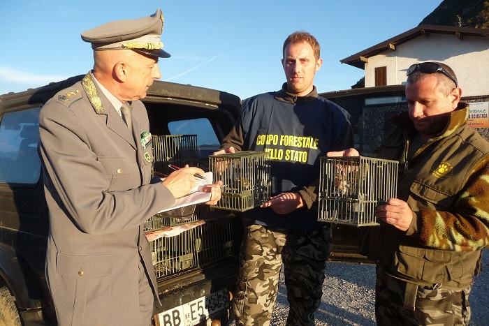 Police officers seizing illegal decoy birds