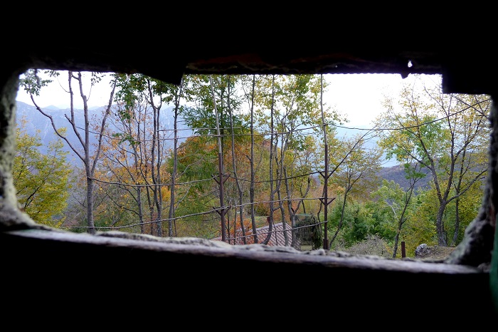 Blick aus einer Tarnhütte auf waagerechte Sitzstangen. Hier lassen sich die angelockten Vögel nieder und werden abgeschossen.