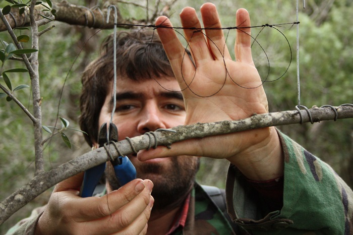 Dismantling of illegal horsehair snares in Sardinia