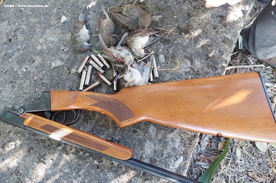 Ende August 2023 in Kalabrien von der Polizei sichergestellte Jagdwaffe und geschossene Gartengrasmücken