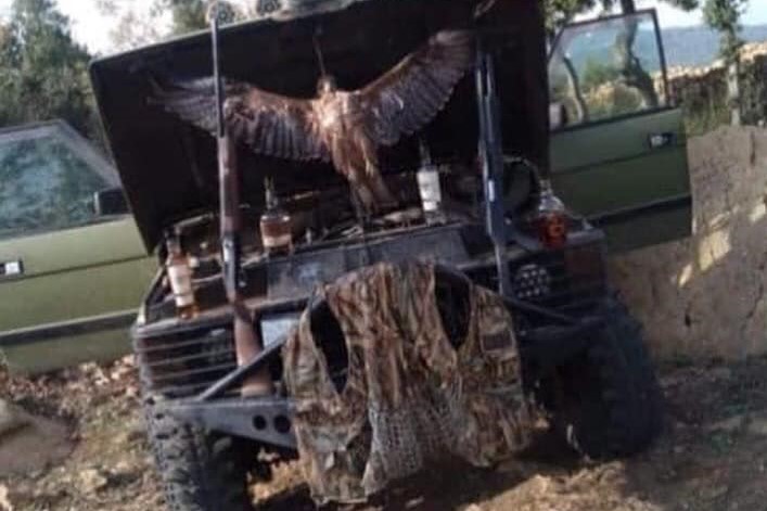 Der Täter hat u.A. dieses Bild eines geschossenen Schreiadlers veröffentlicht, samt Waffen und Whiskeyflaschen