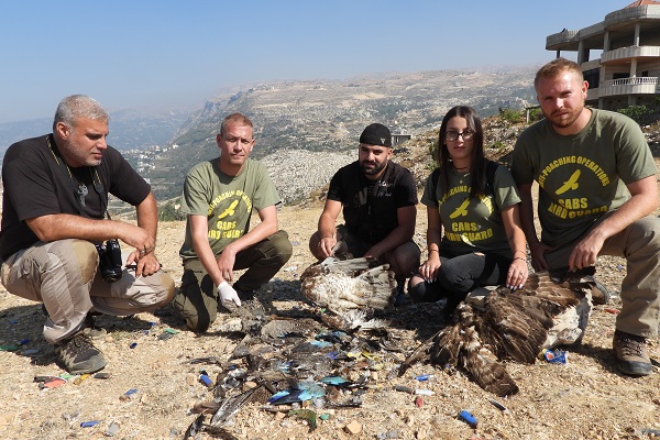 Komitee-Bird Guards mit illegal getöteten Zugvögeln im Libanon