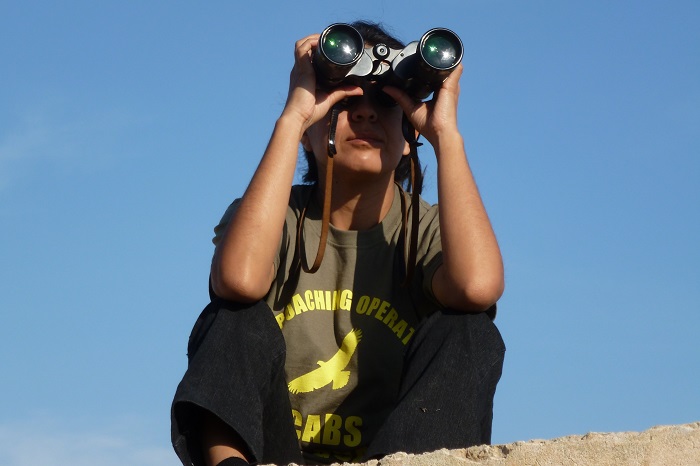 CABS volunteer bird guard on Malta