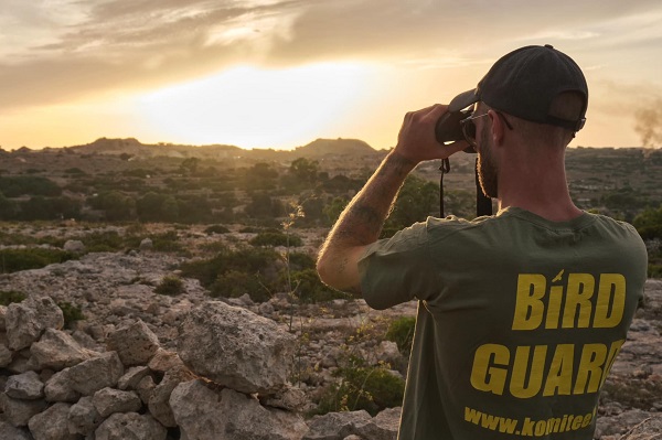 Komitee-Bird Guard bei Sonnenaufgang an einem Rohrweihen-Schlafplatz im Westen Maltas