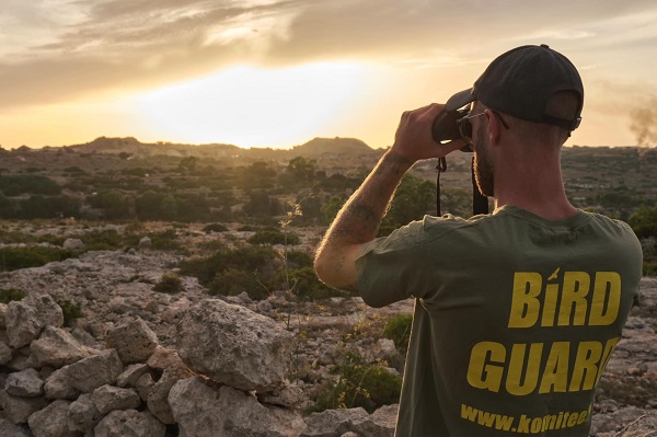 Komitee-Bird Guard bei Sonnenaufgang an einem Rohrweihen-Schlafplatz im Westen Maltas 