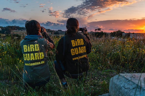 Bird Guards auf Malta