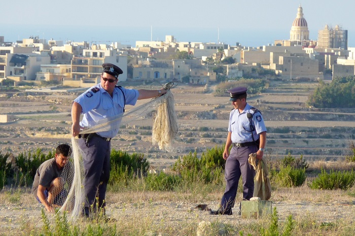 Maltese police dismantle an illegal trapping net on Gozo.