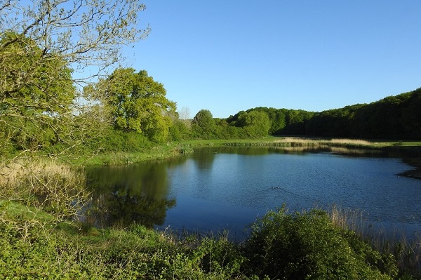 Der Pläsenteich bei Pohnsdorf