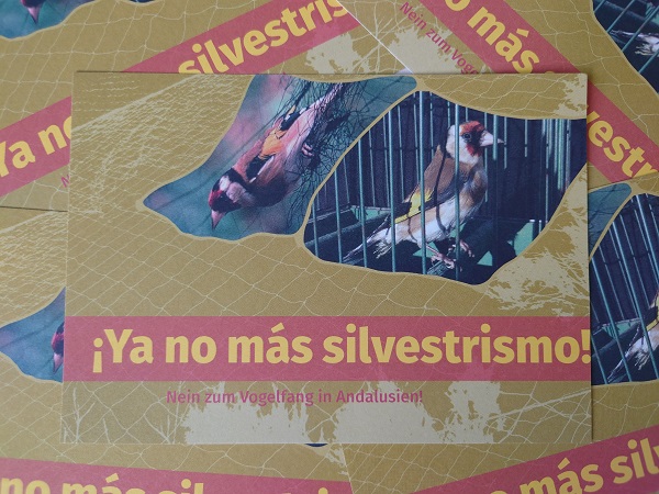 Die neue Protestpostkarte des Komitees gegen den Vogelmord (September 2022)