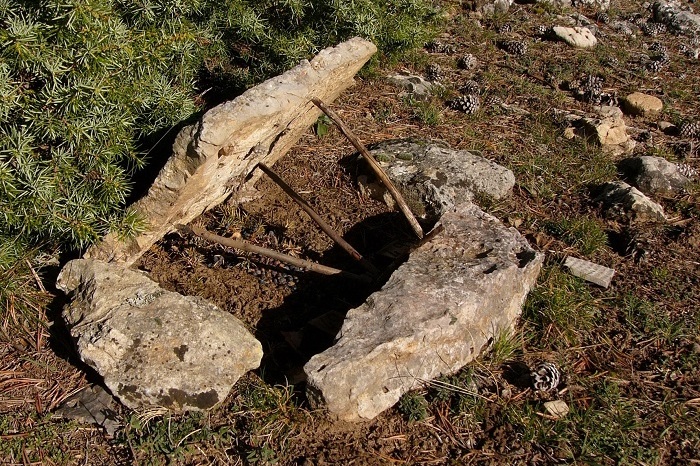 Steinquetschfalle in den Cevennen