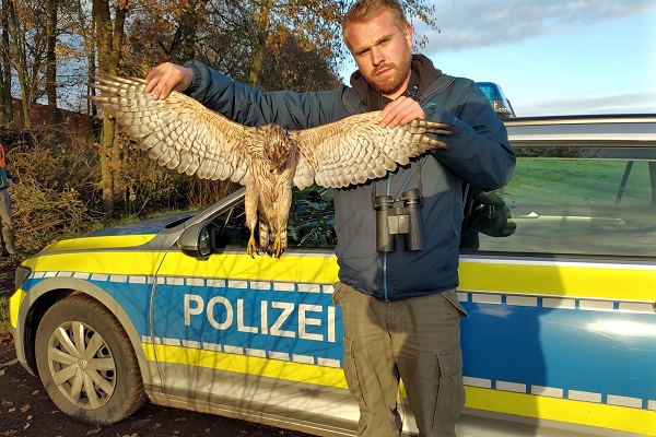 Vogelschützer mit erschlagenem Habicht.