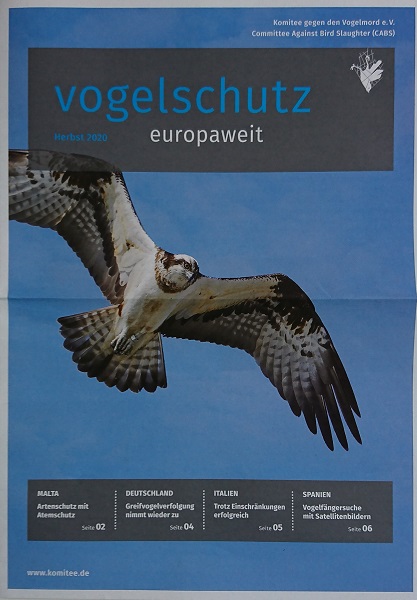 Vogelschutz europaweit 2020